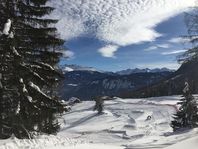 Bild ohne Titel